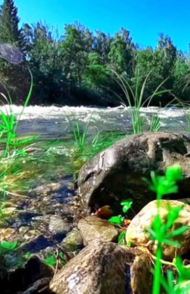 village river