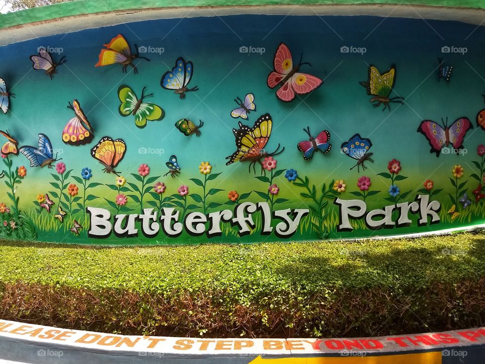 Butterfly Park , Hyderabad