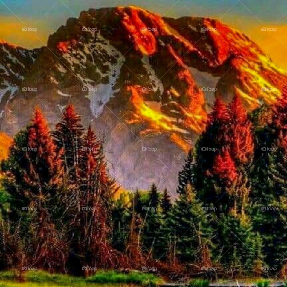 beautiful mountain scene
