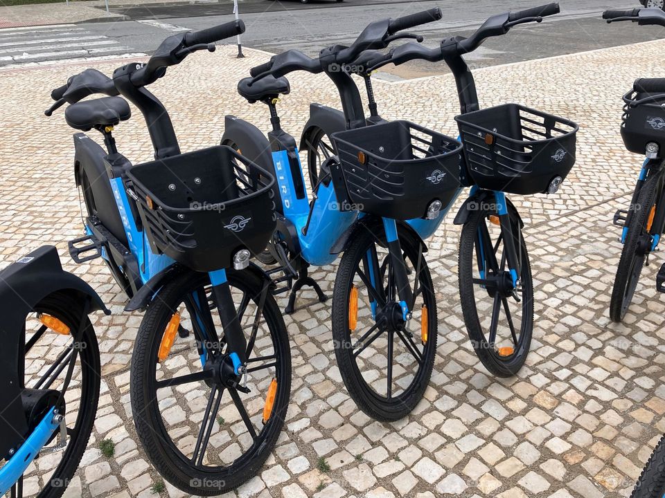 City bikes standing on pavement 