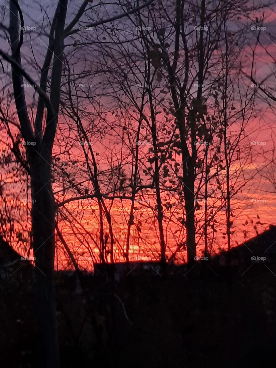 sunrise  with red, pink and  violet clouds