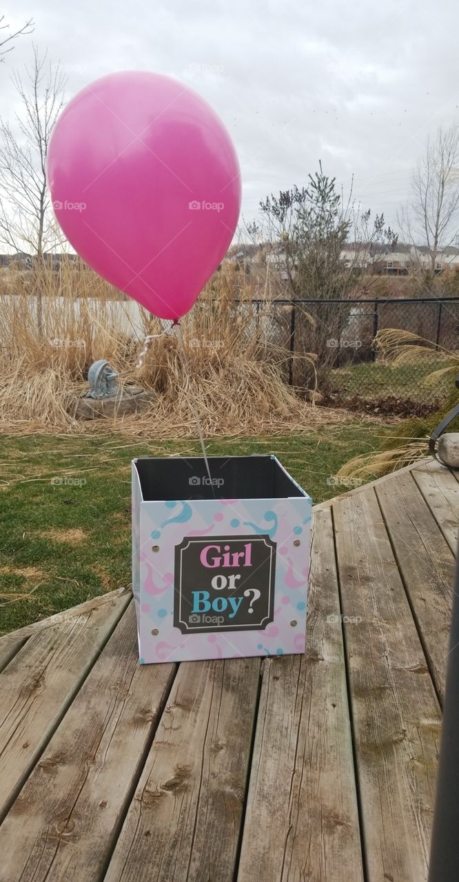 Gender reveal box showing off a bright pink balloon! Congratulations on the baby girl