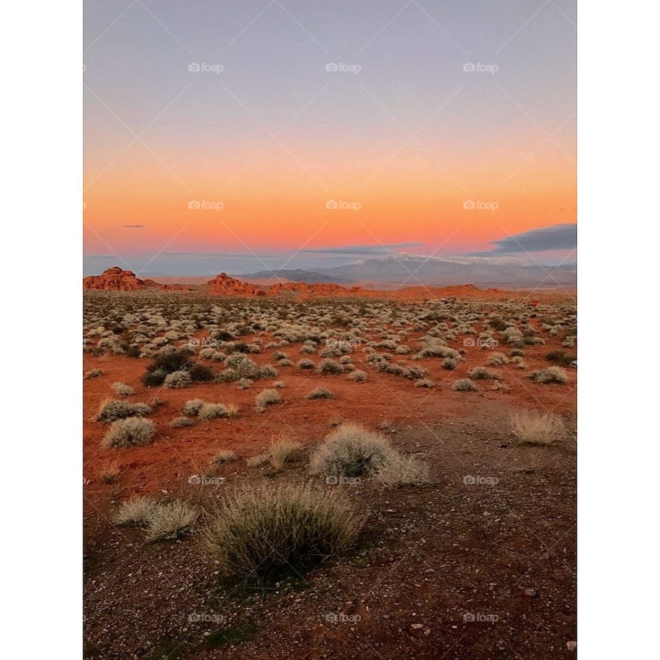 Sunset in the desert!!