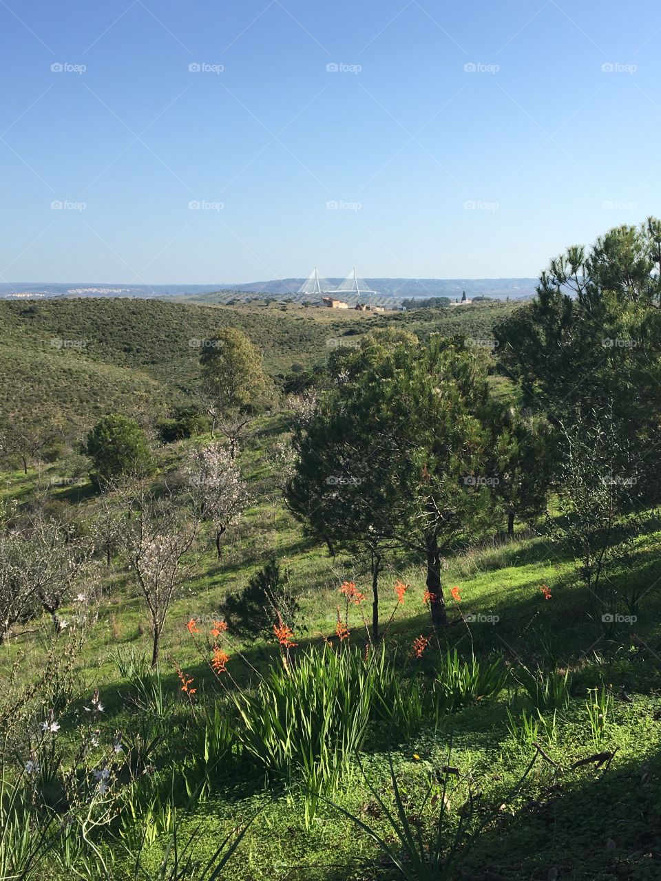 Green countryside with border bridge far away