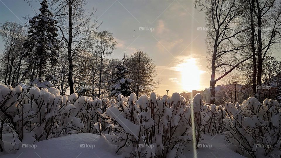 Magical time ☀️❄️ Winter time ☀️❄️ Nature ❄️☀️ Sunset ❄️☀️