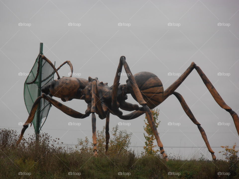 Large Model Ant