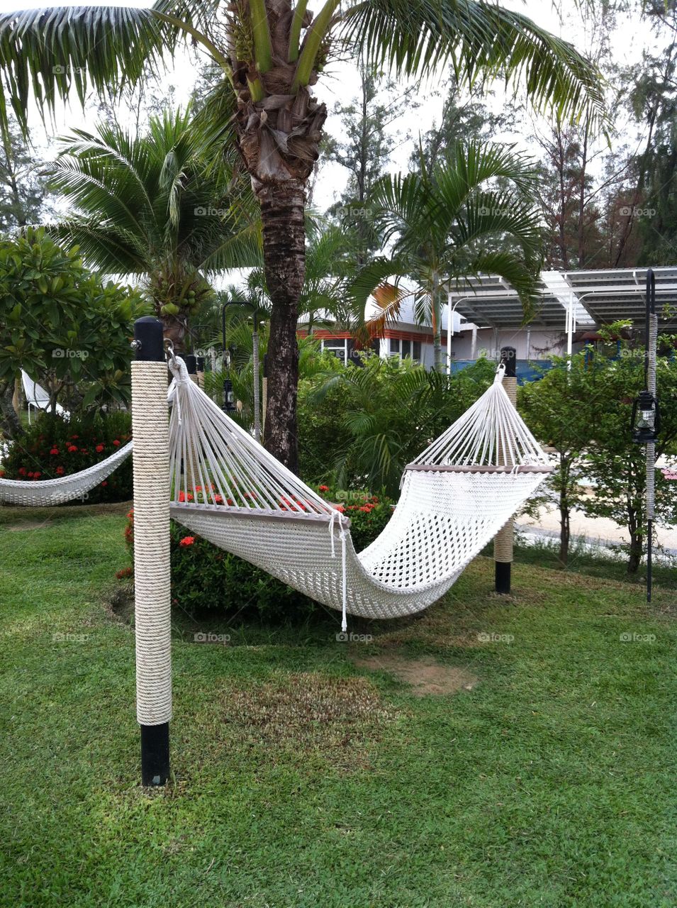 Hammock. Garden tree relaxing hotel holiday 
