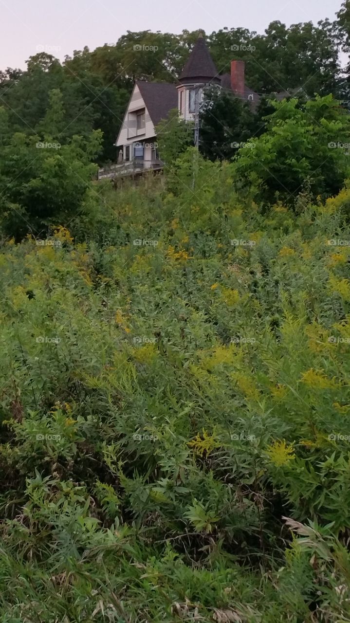 This is actually a beautiful house but it reminds me of the scary house on the hill. Well from this perspective anyhow.