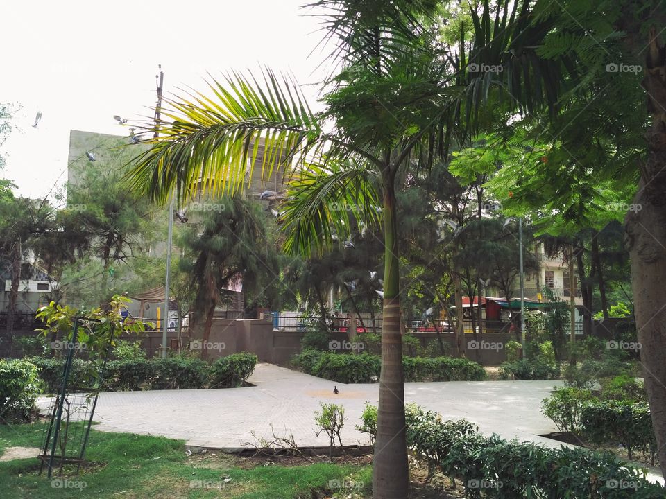 Park Noida Sector 12