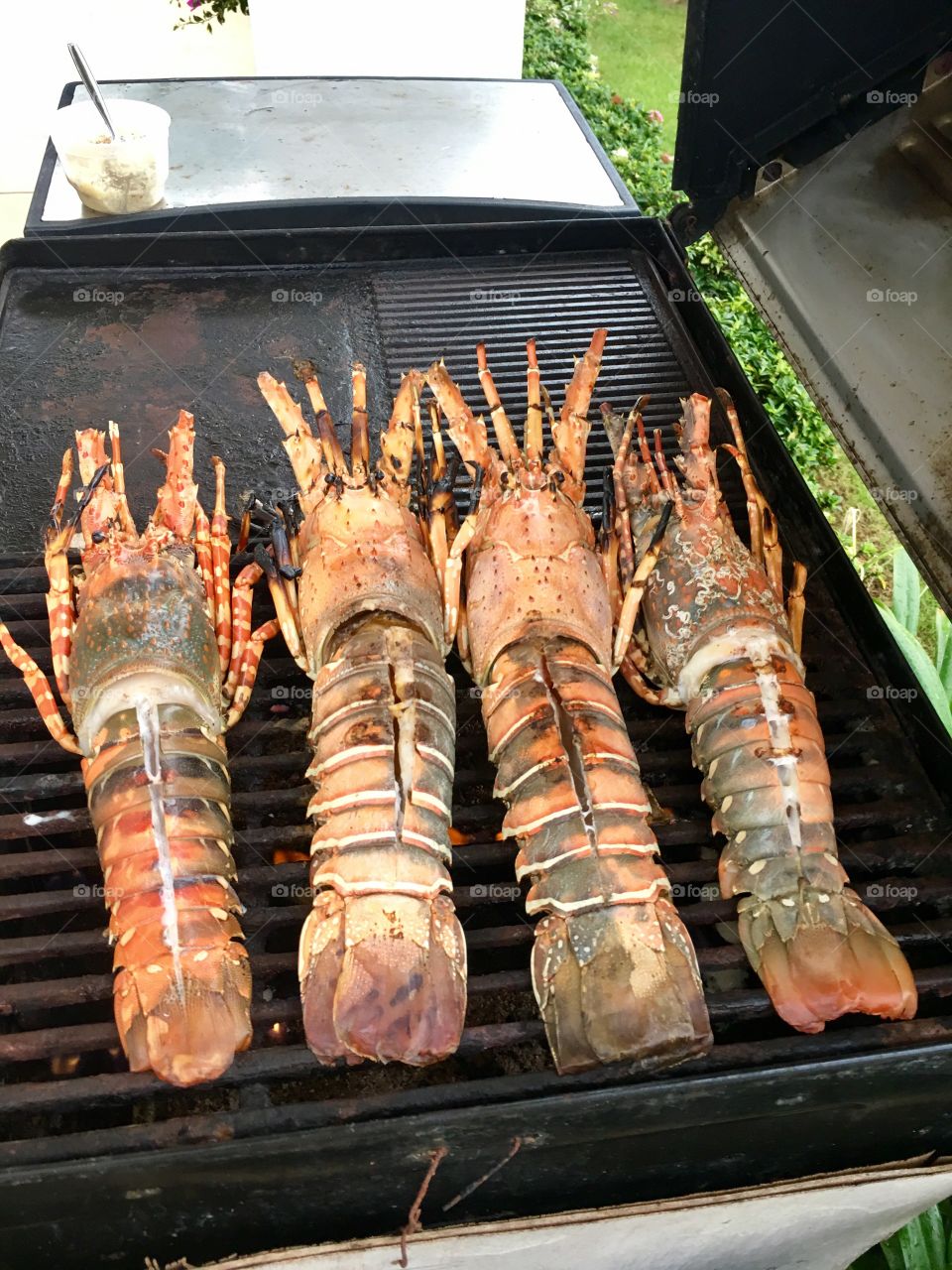 BBQ Shellfish 