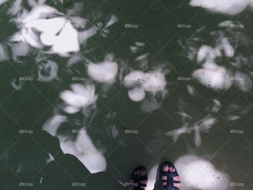 Me standing in the shadow of beautiful pattern of the chestnut tree