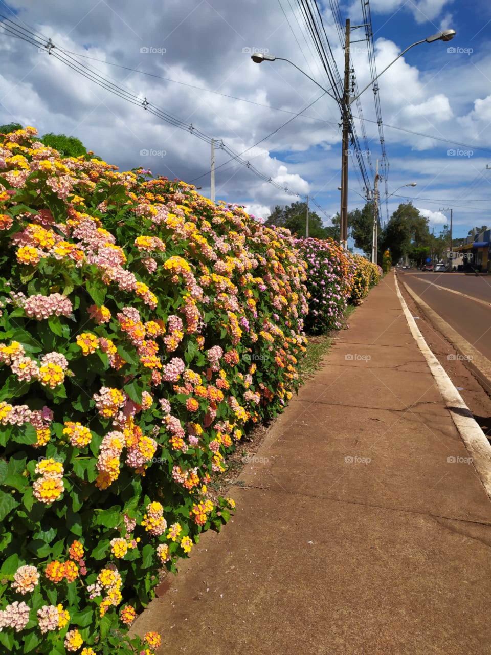 cidade Corbélia no estado do Paraná Brasil