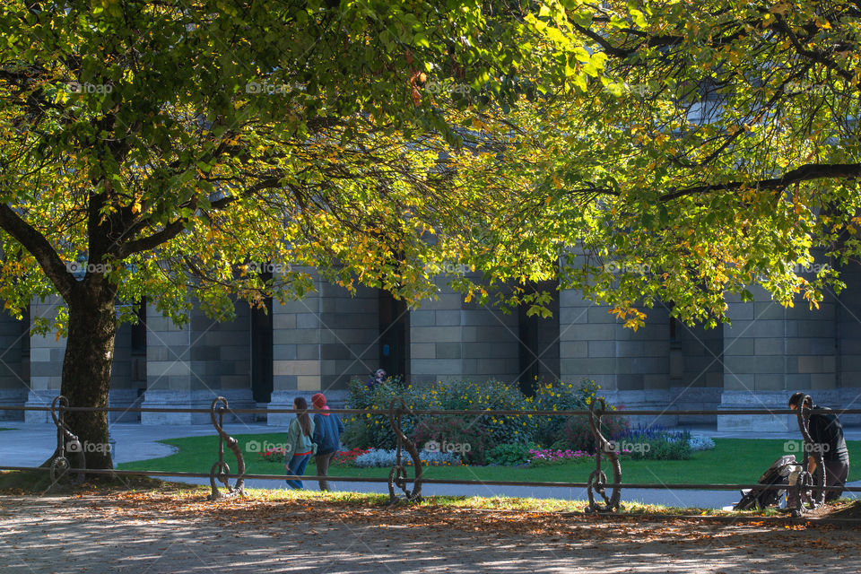 autumn scenery in town