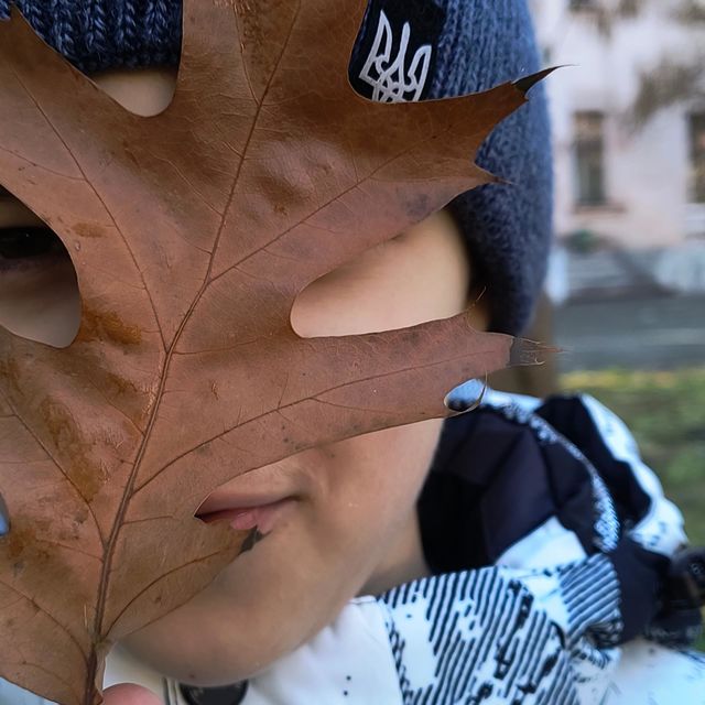 autumn vibe