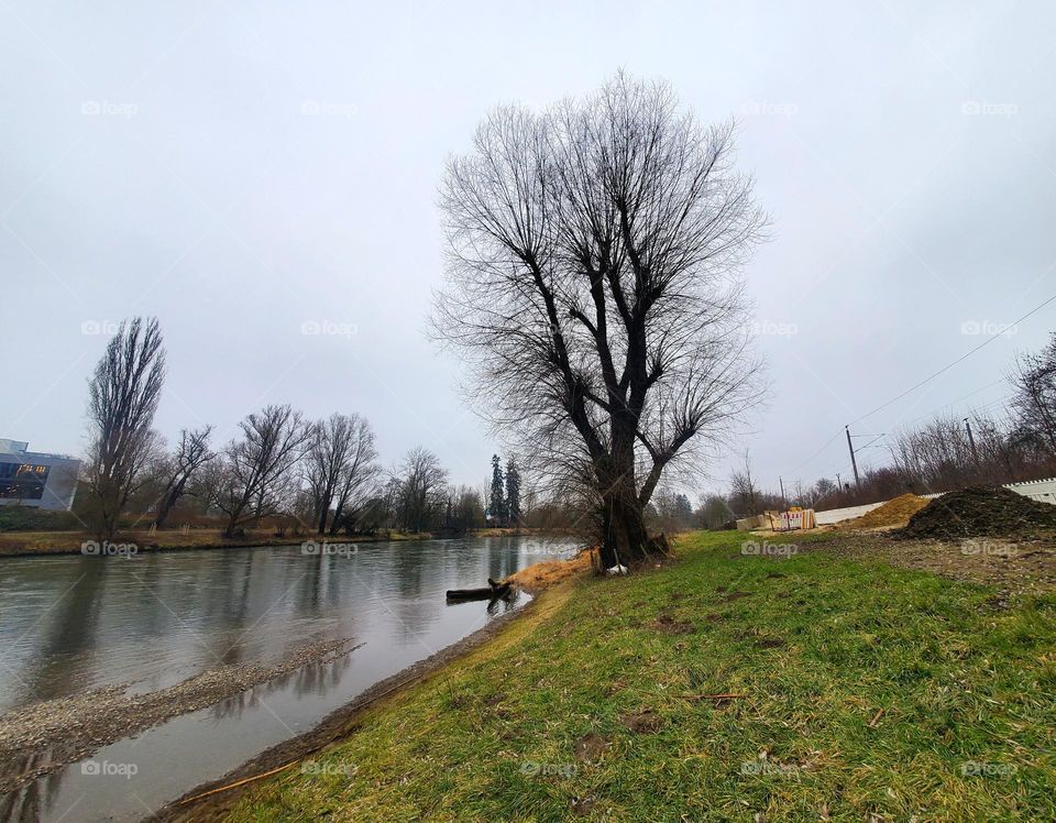 Donau River Ulm