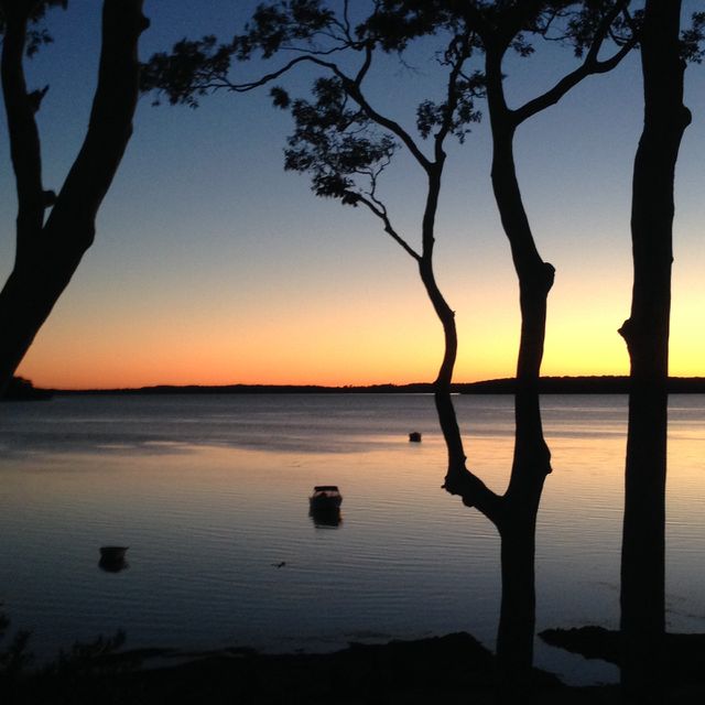 Lakeside dreaming