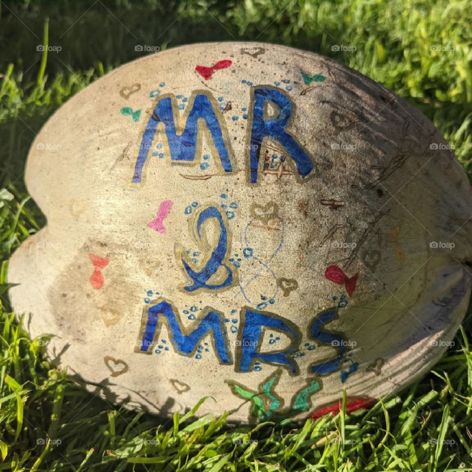 Mr & Mrs Coconut