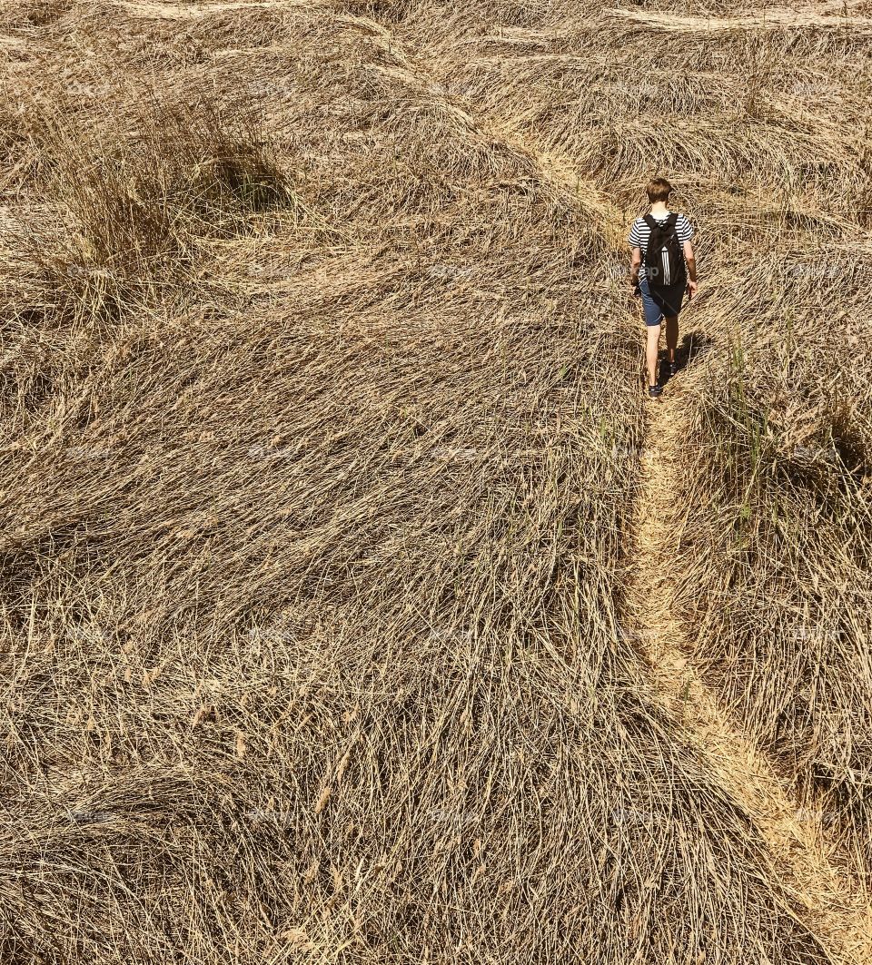 Agriculture, Straw, Nature, Farm, Dry