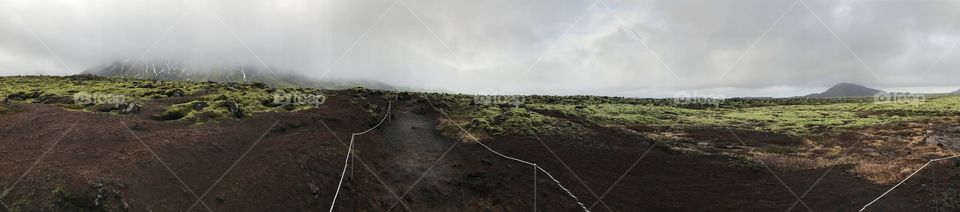 Nature 