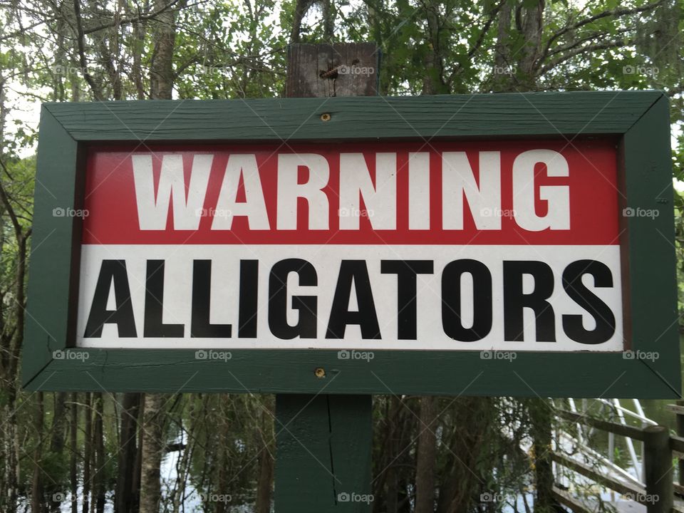 Warning alligators