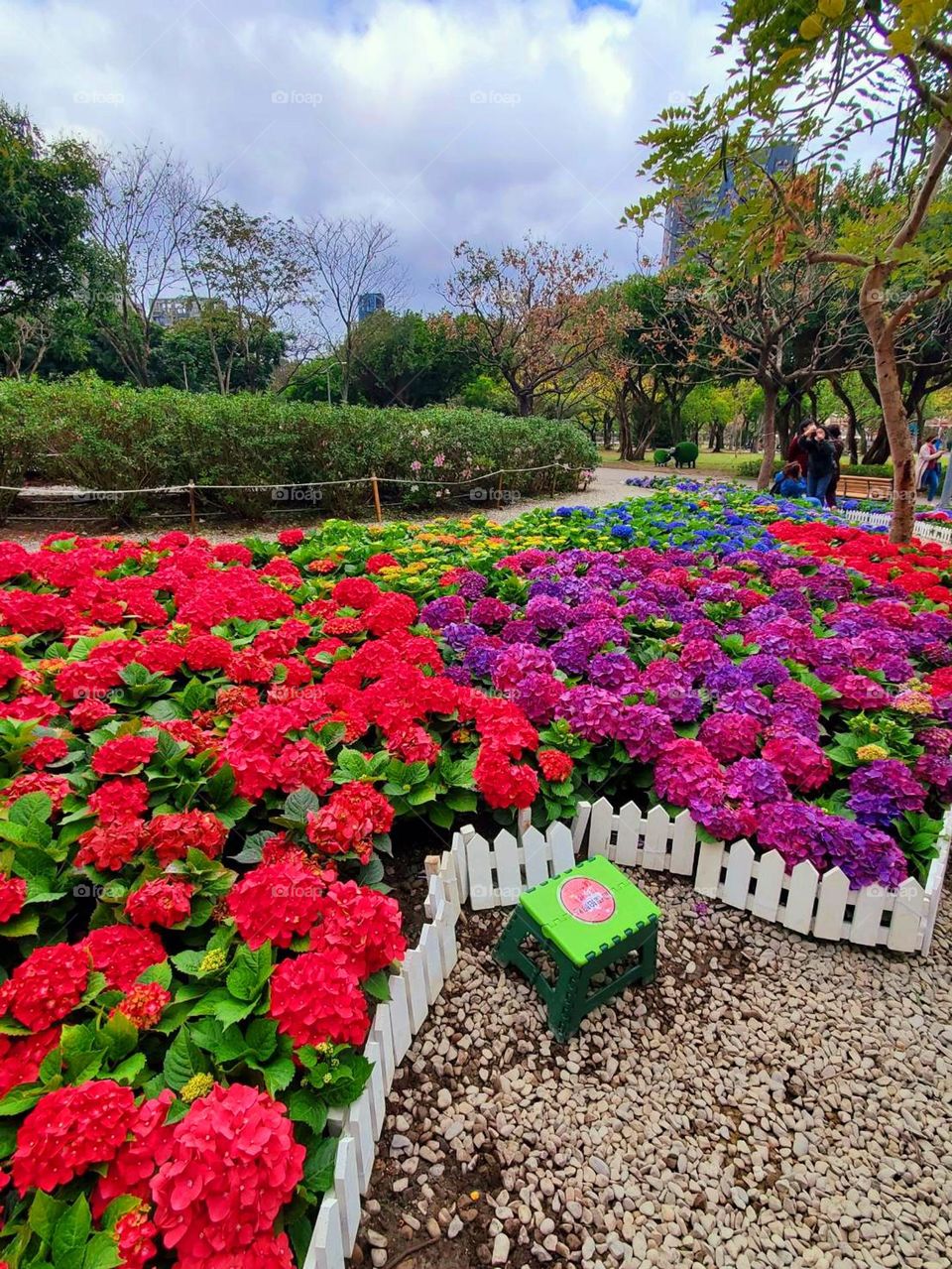 A small chair appears in the sea of ​​colorful flowers