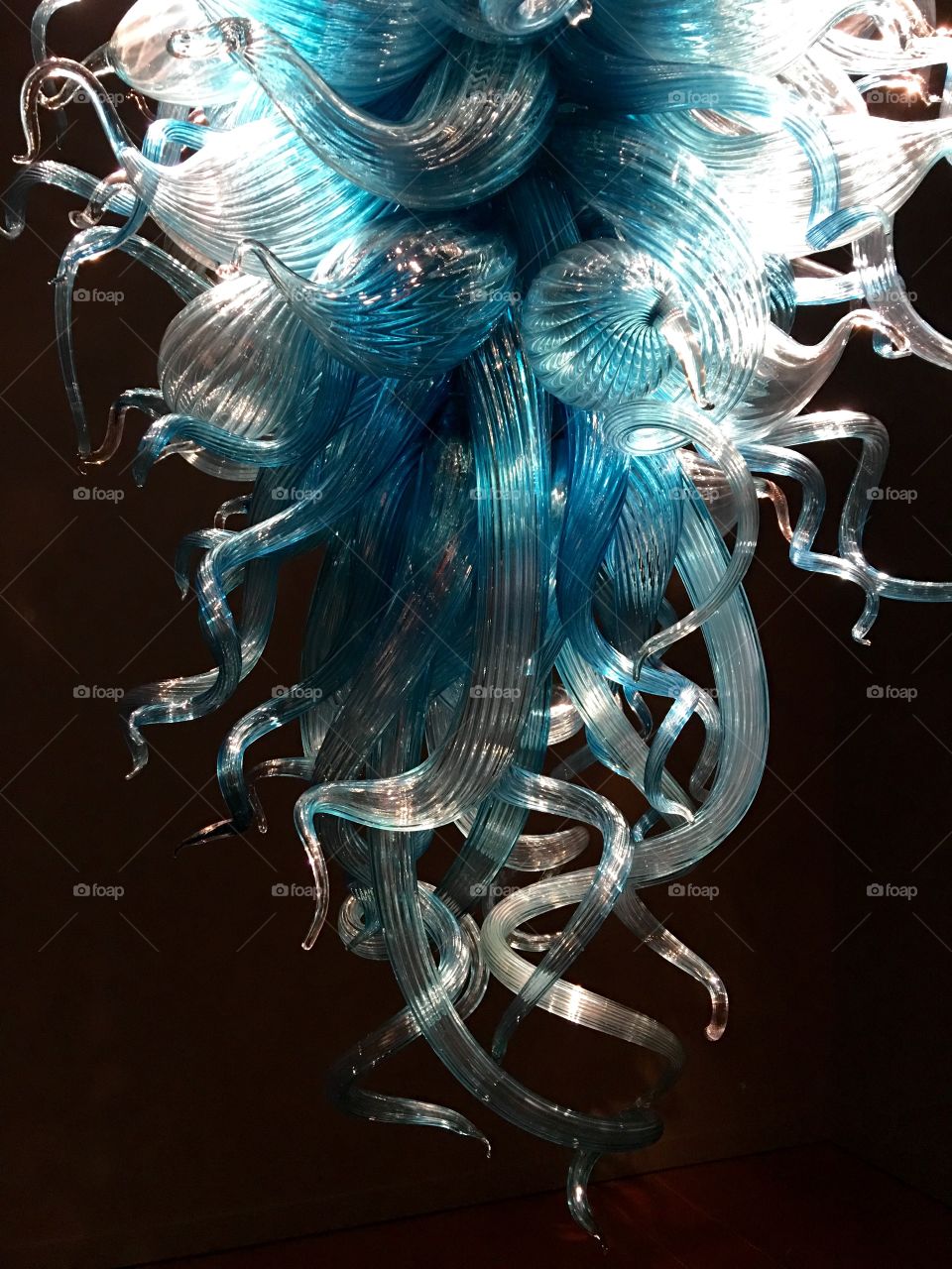 Chihuly Garden & Glass in Seattle, WA