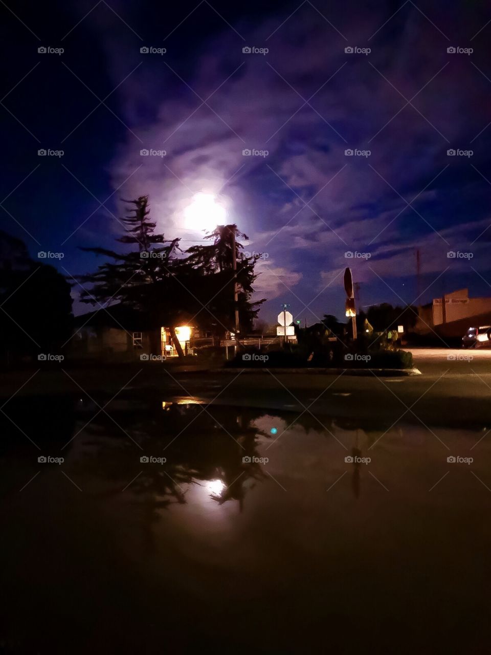 Moon in a puddle