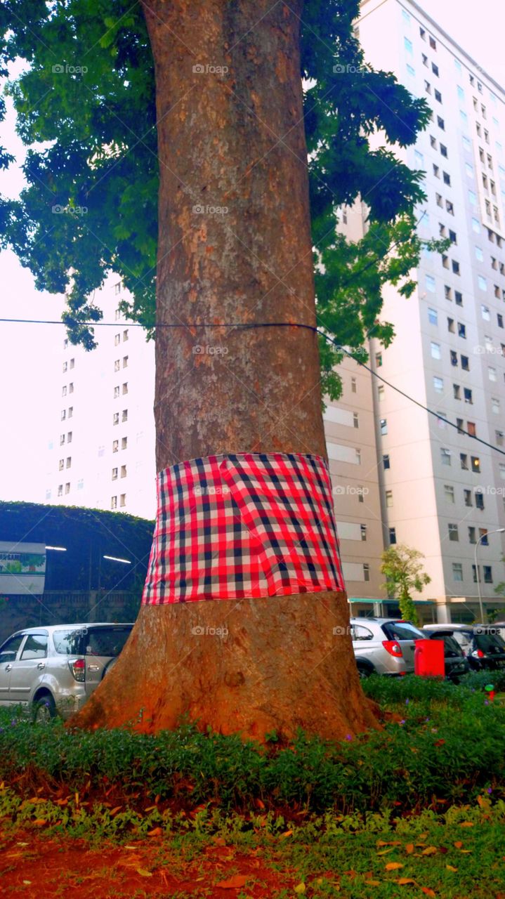 Giant Tree @Kalibata City, Jakarta
