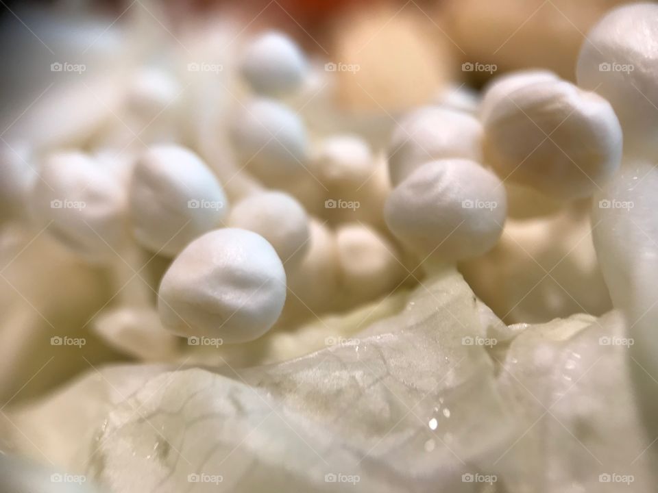 No Person, Food, Closeup, Health, Wood