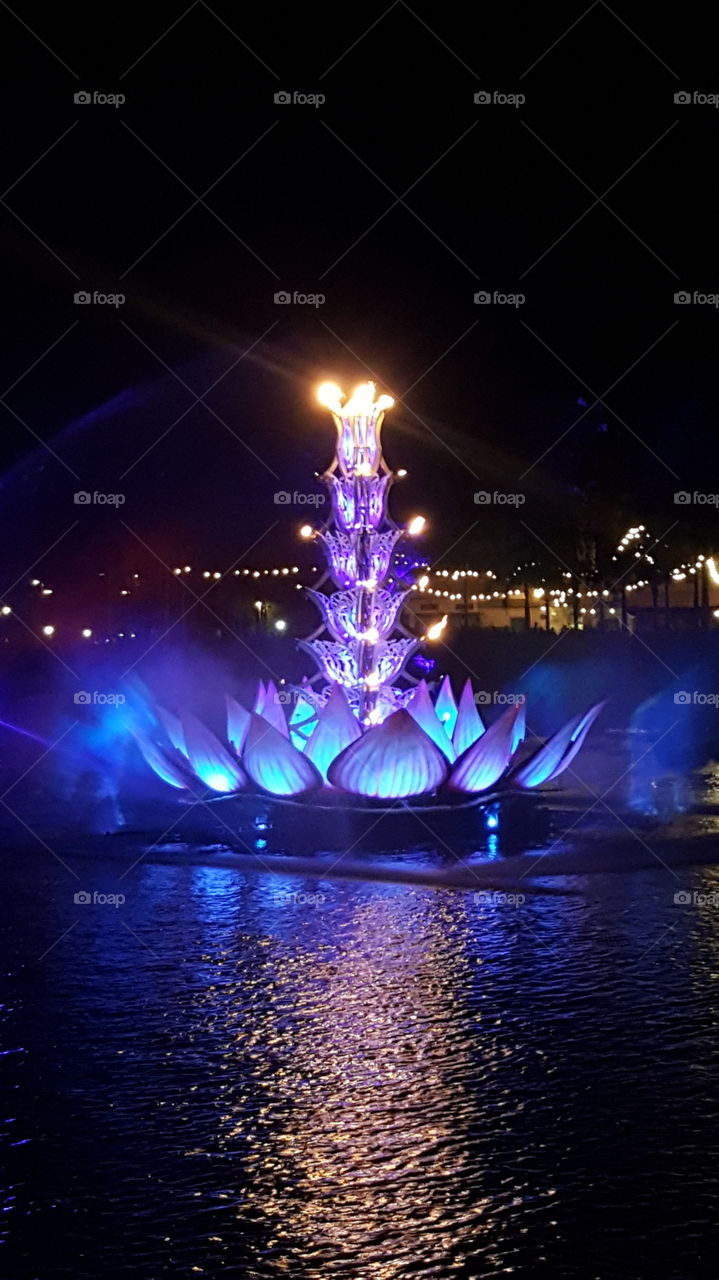 A flower blooms to illuminate the night over the Discovery River during Rivers of Light at Animal Kingdom at the Walt Disney World Resort in Orlando, Florida.