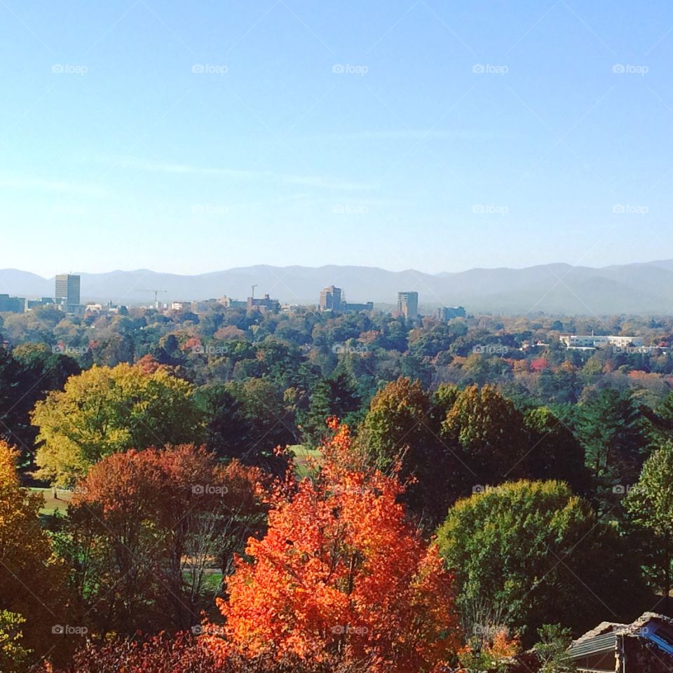 Fall, No Person, City, Architecture, Travel