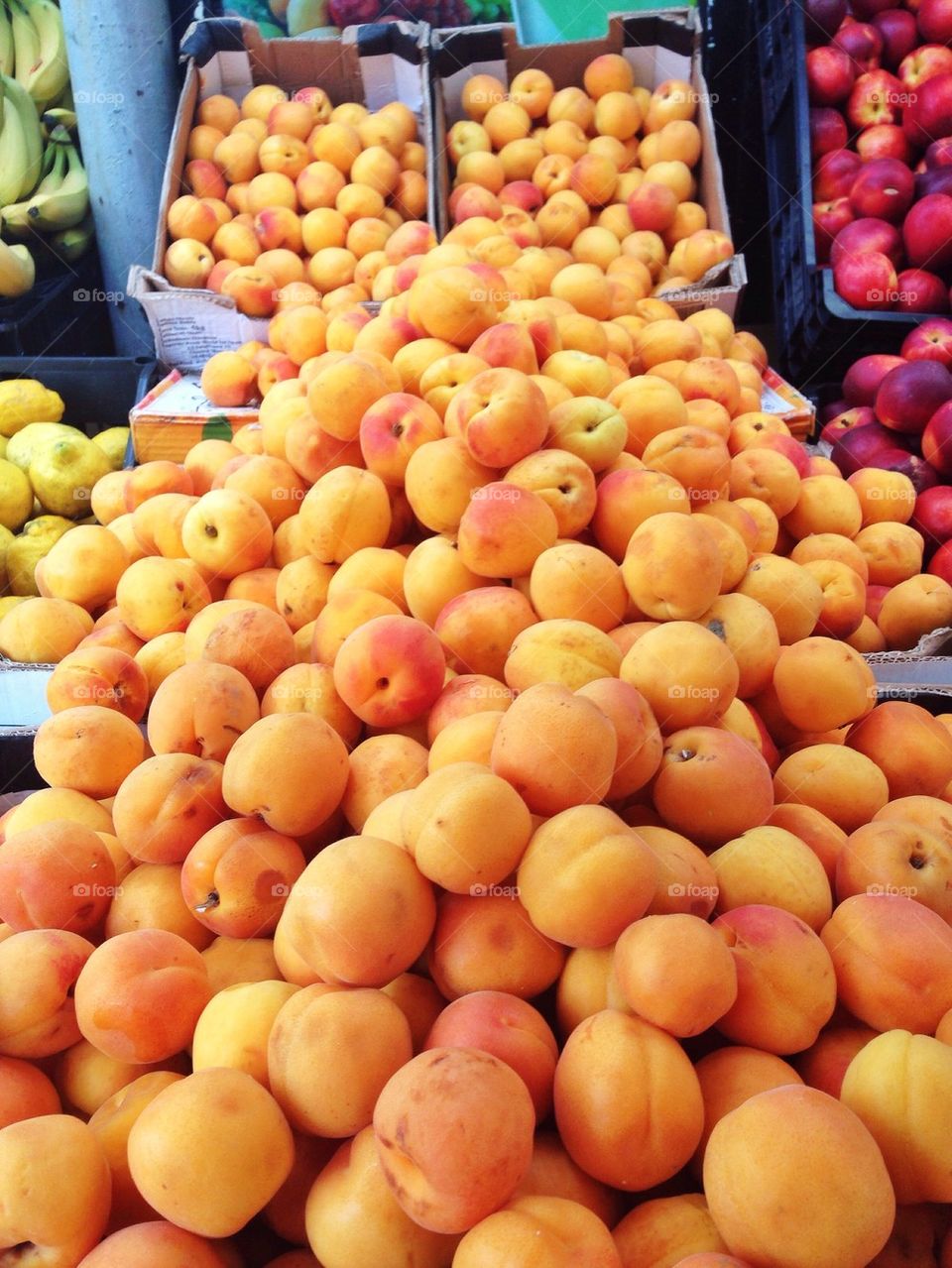 Close-up of apricots