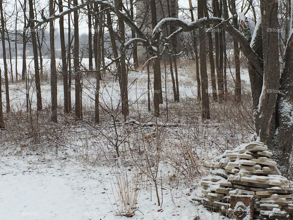 Snow on spring . Snow 