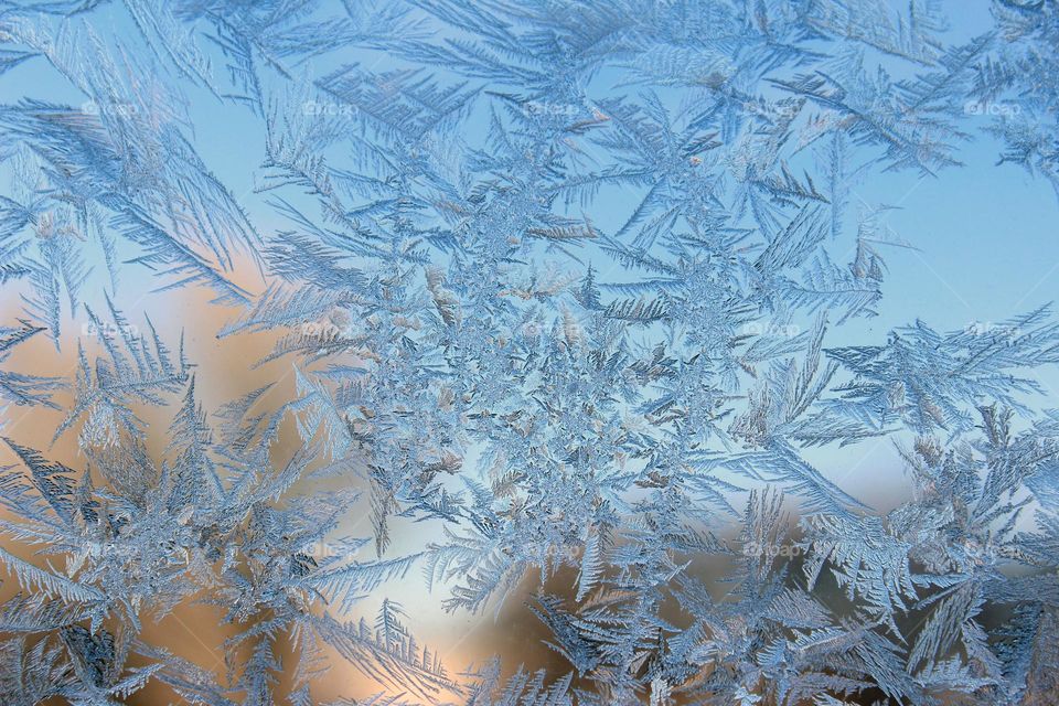 Gorgeous formed ice on window