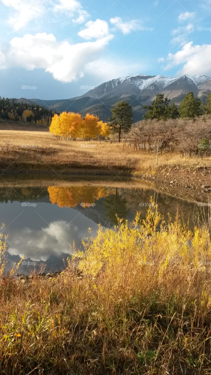 Autumn Reflections . Taken at the Spanish Peaks Ranch in Colorado 