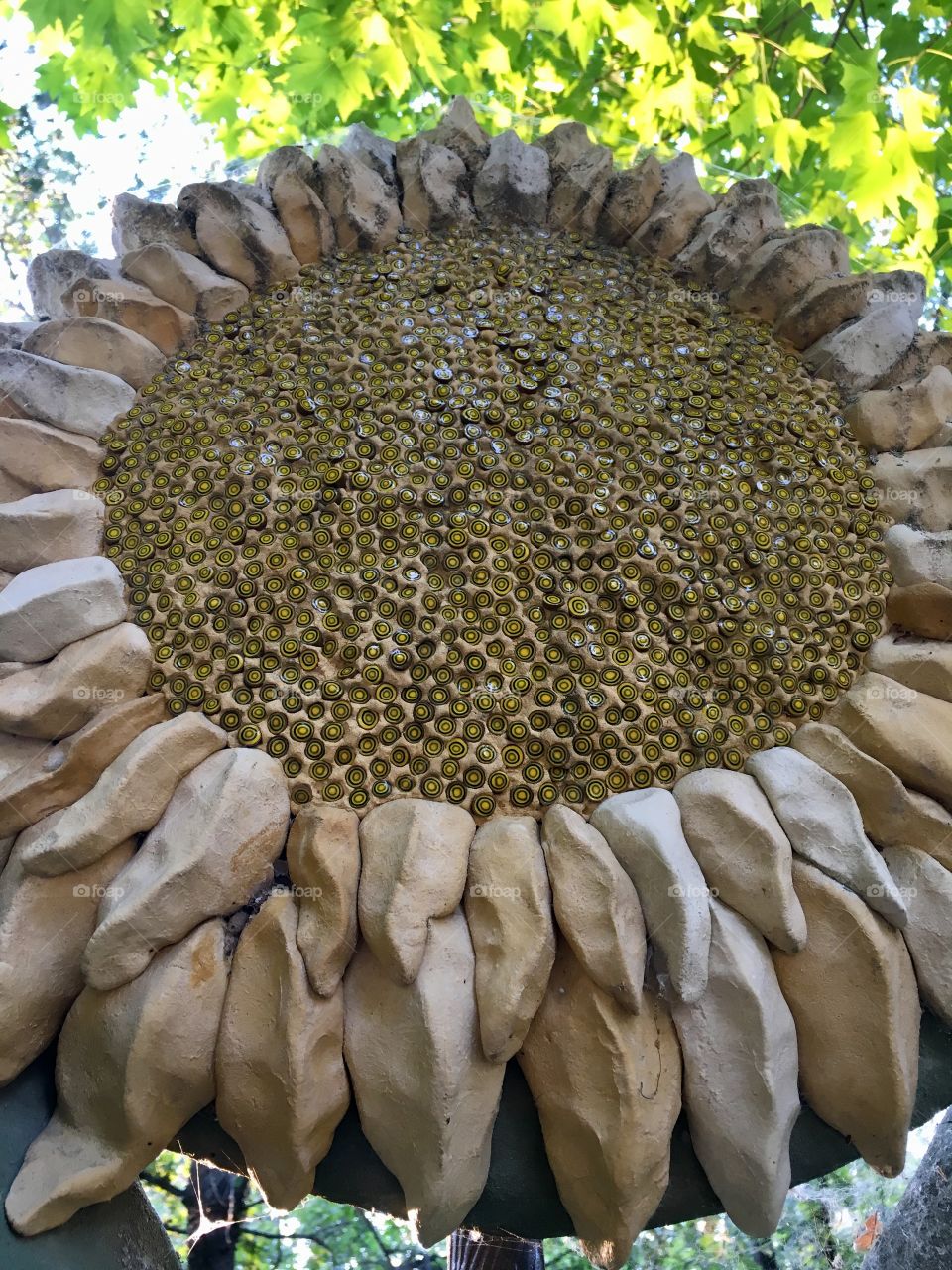 Sculpture of a sunflower face from low prospective 