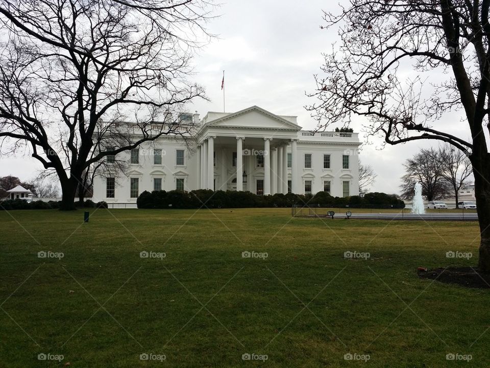 white house