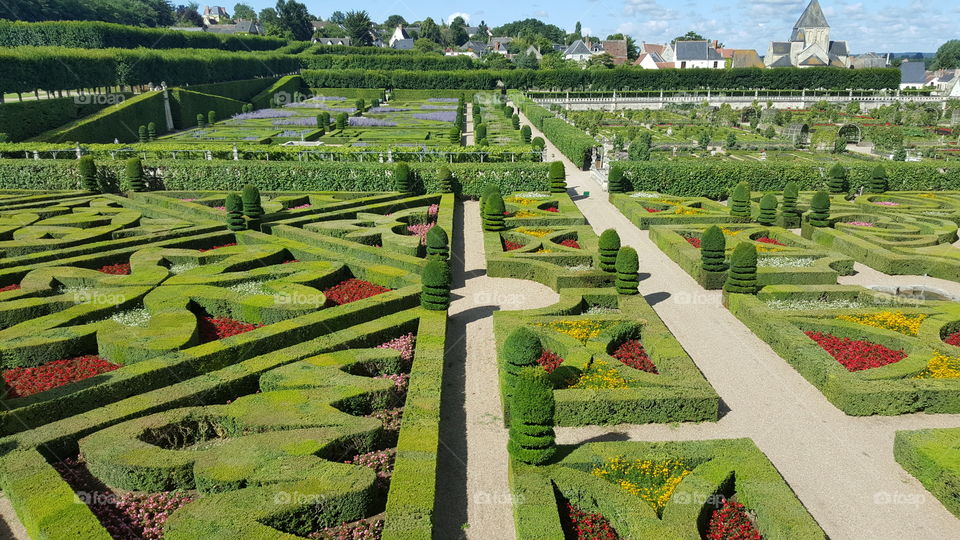 France garden
