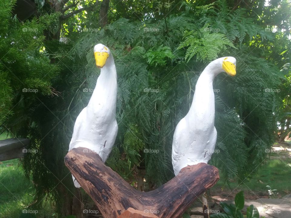 aves de gesso em cima de um tronco artificial. Ao fundo samabaias.