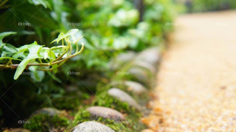 Cobblestone path. taken somewhere in the Eu