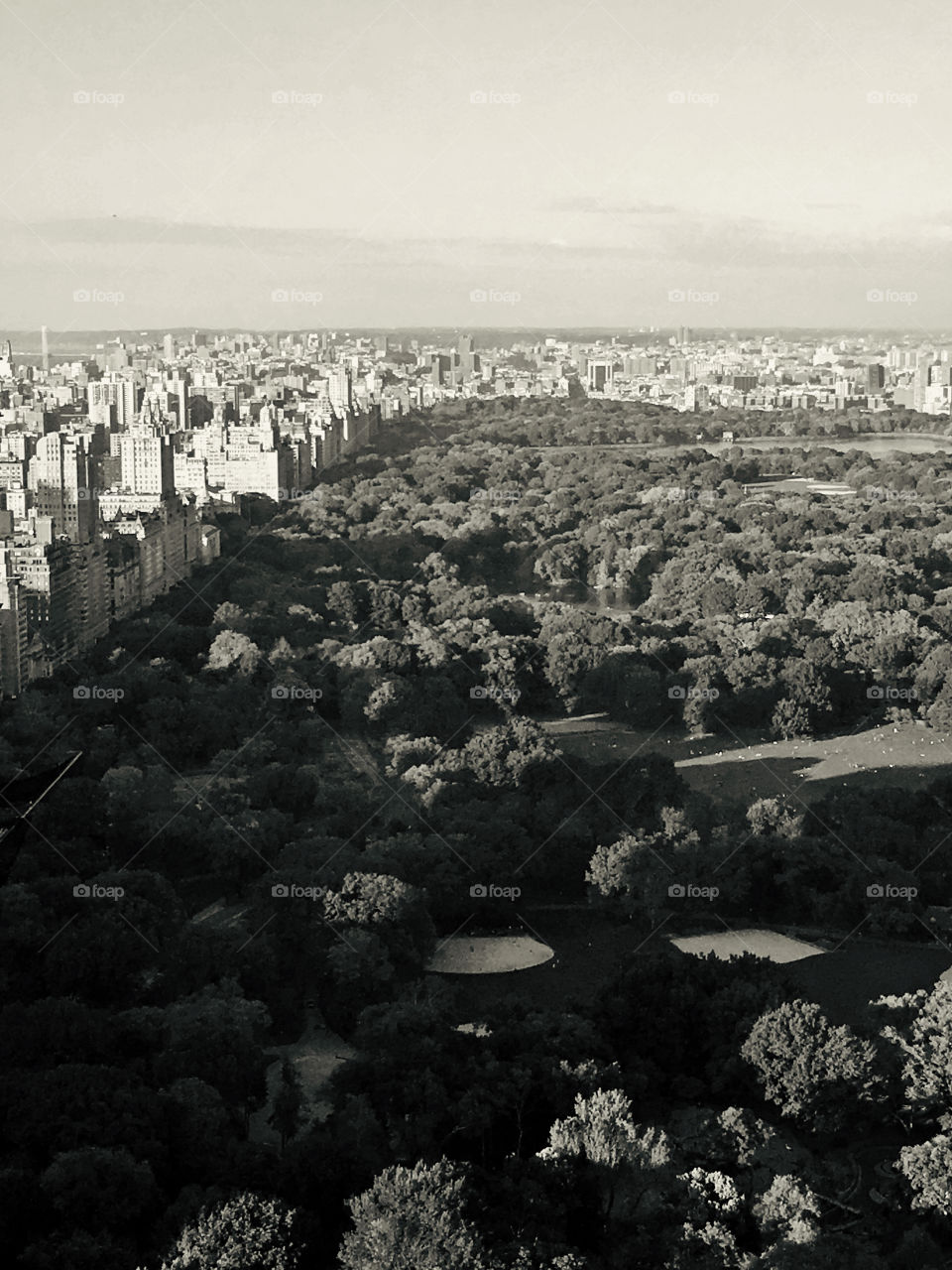 Central Park - Late Afternoon