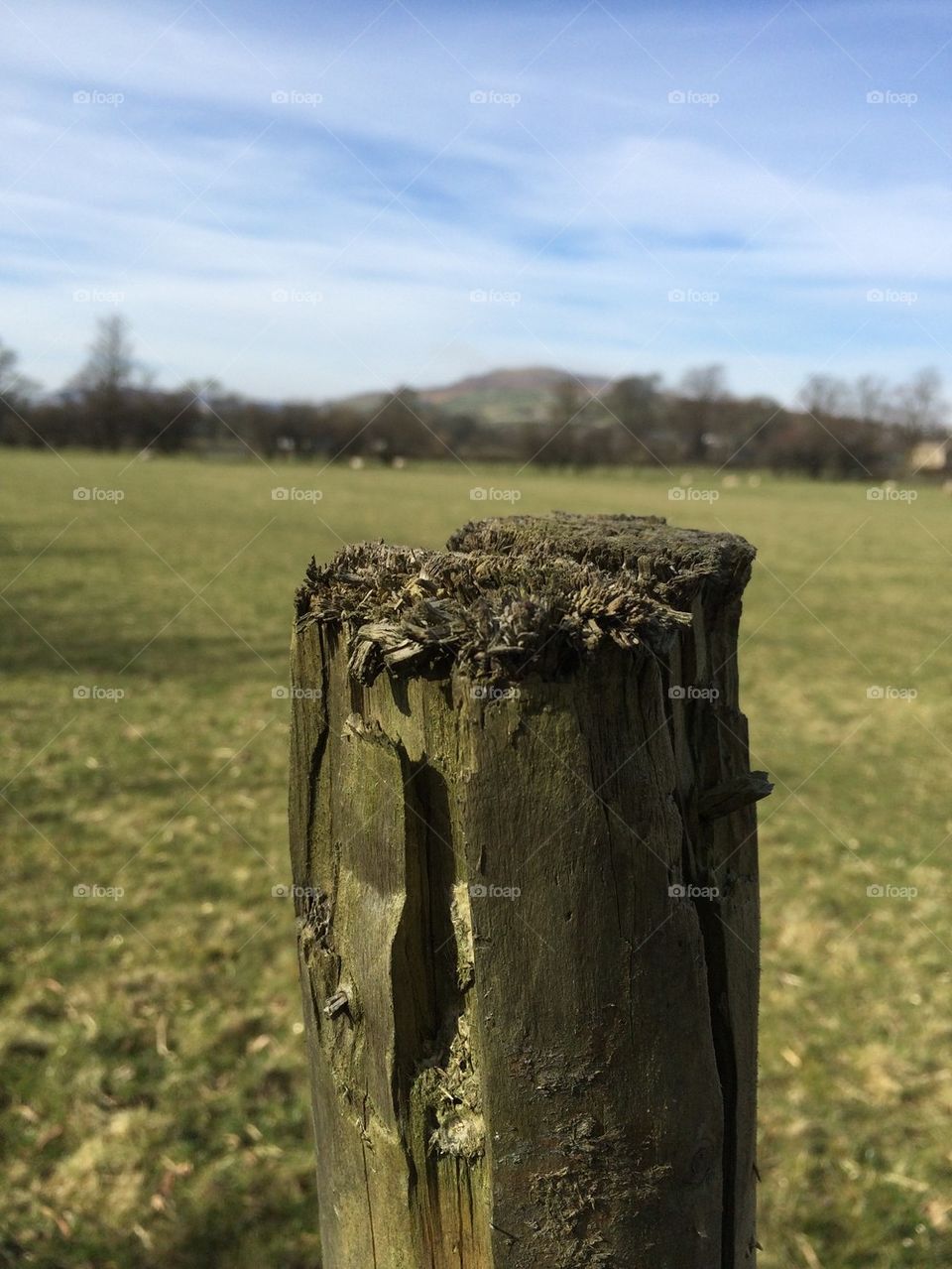 Grinton Fence Post