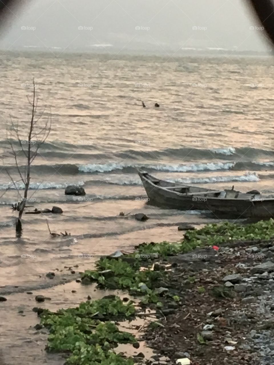 Water, No Person, Sea, Seashore, Landscape