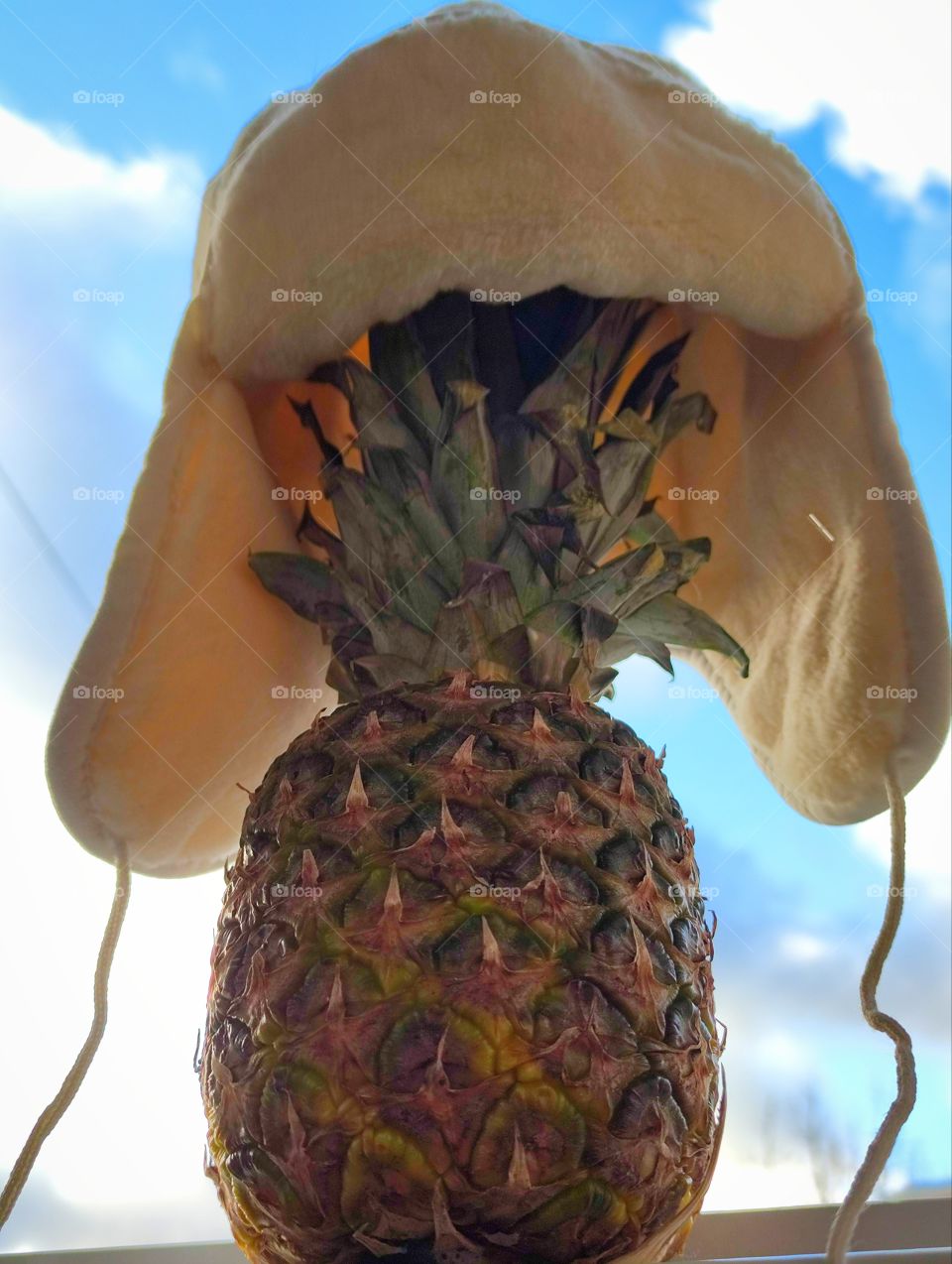 Humor.  Pineapple stands on the window in a winter white hat against the background of a blue sky with white clouds