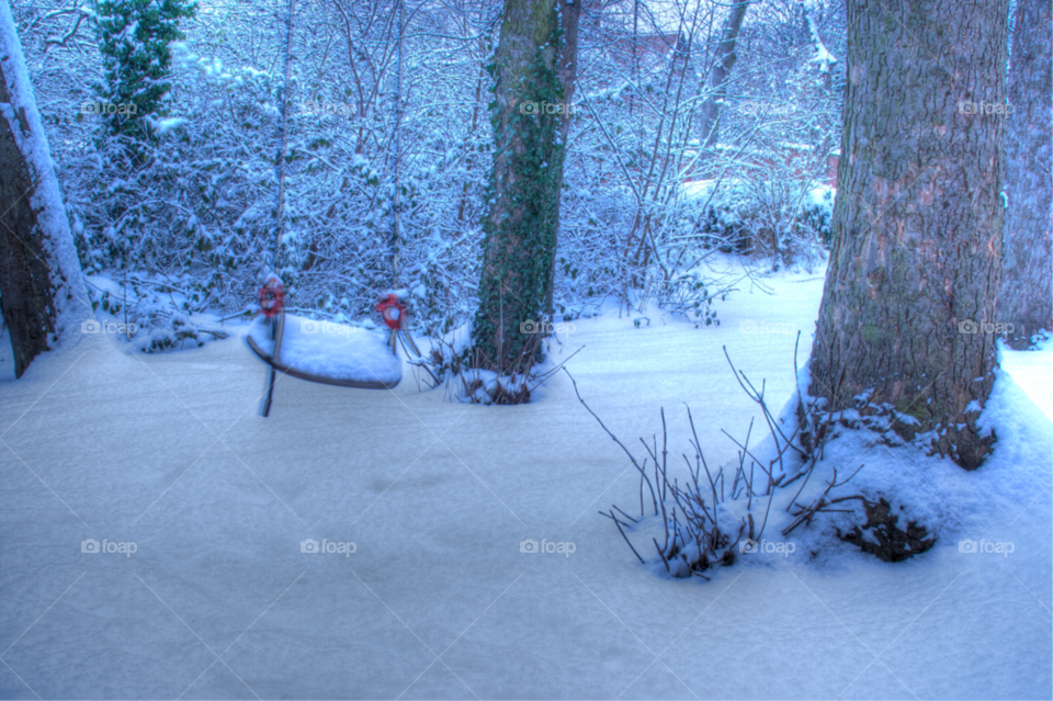 snow swing winter tree by samueldibb