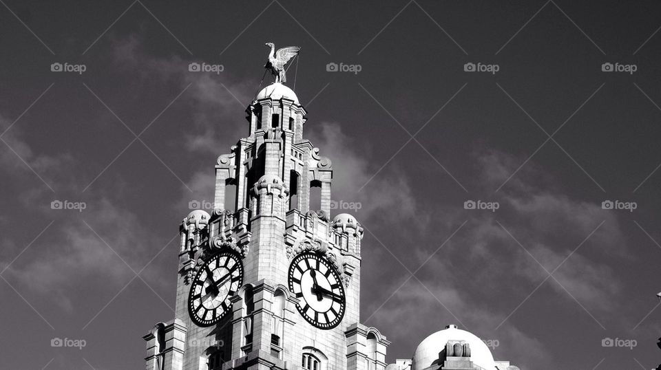 Liver building