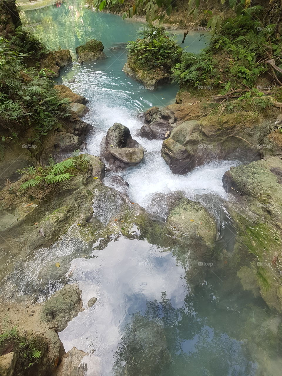 a sweet water escape