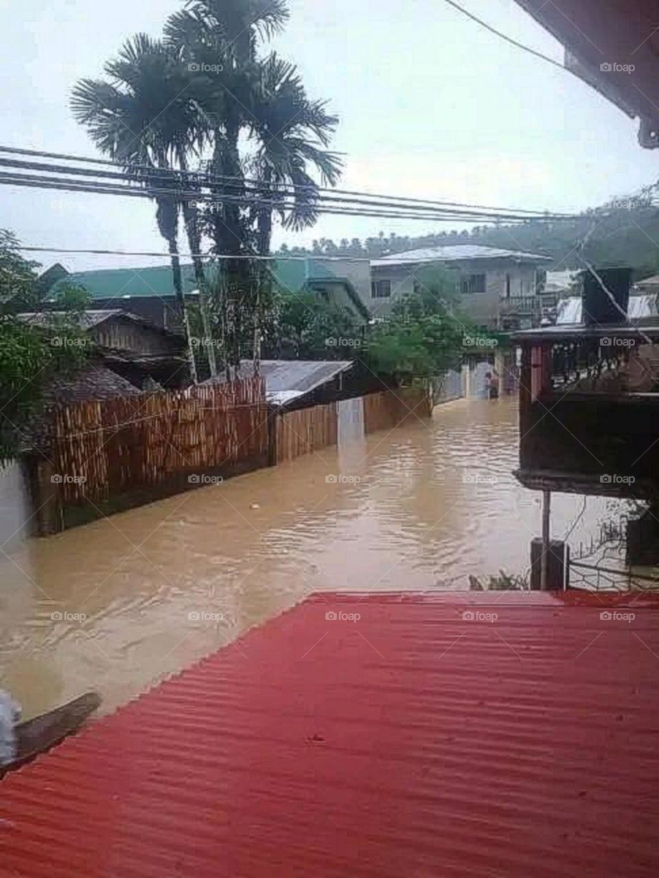 A most beautiful and attractive view.