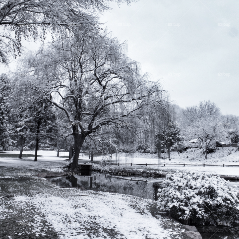 snow winter landscape sky by stevehardley7