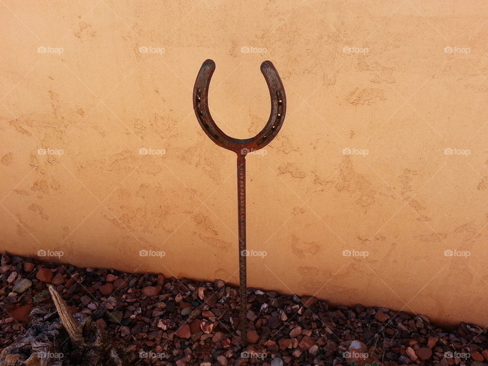 horseshoe art
